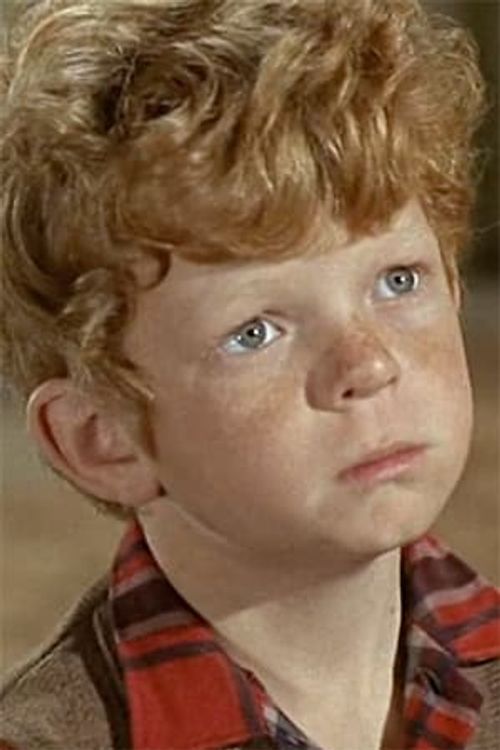 Key visual of Johnny Whitaker