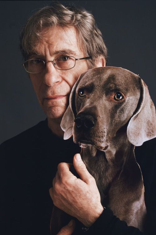 Key visual of William Wegman