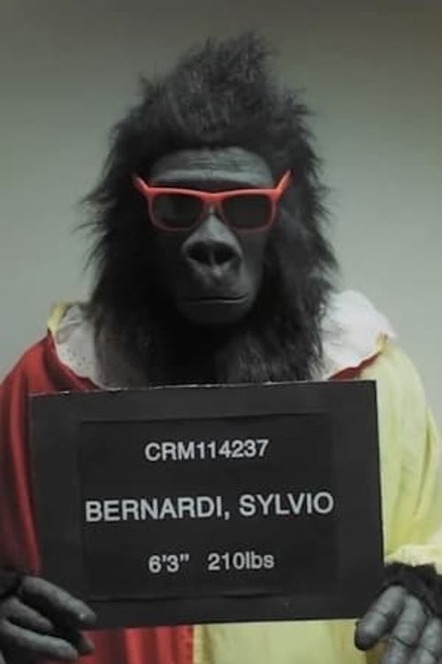 Key visual of Sylvio Bernardi