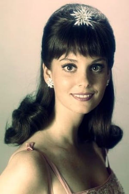 Key visual of Lesley Ann Warren