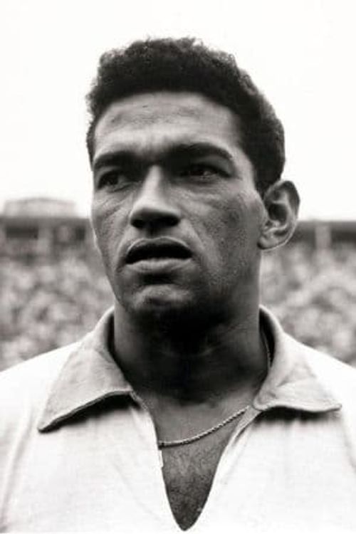 Key visual of Garrincha