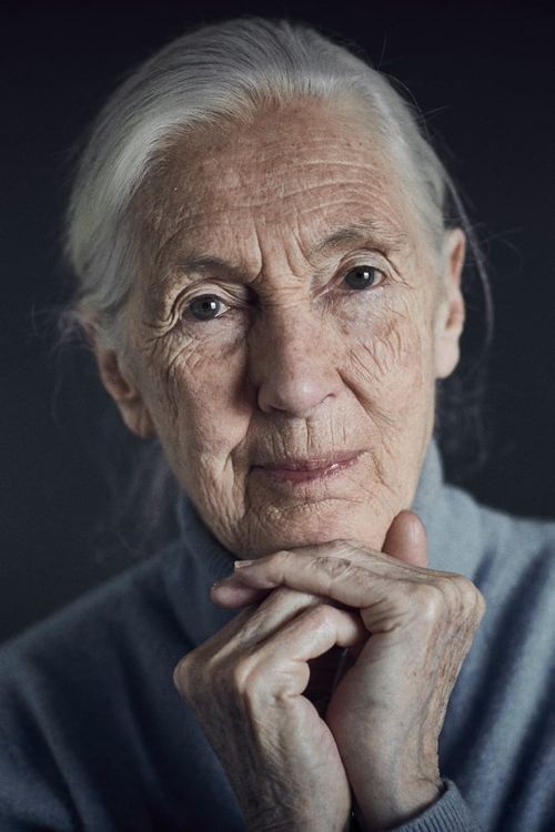 Key visual of Jane Goodall