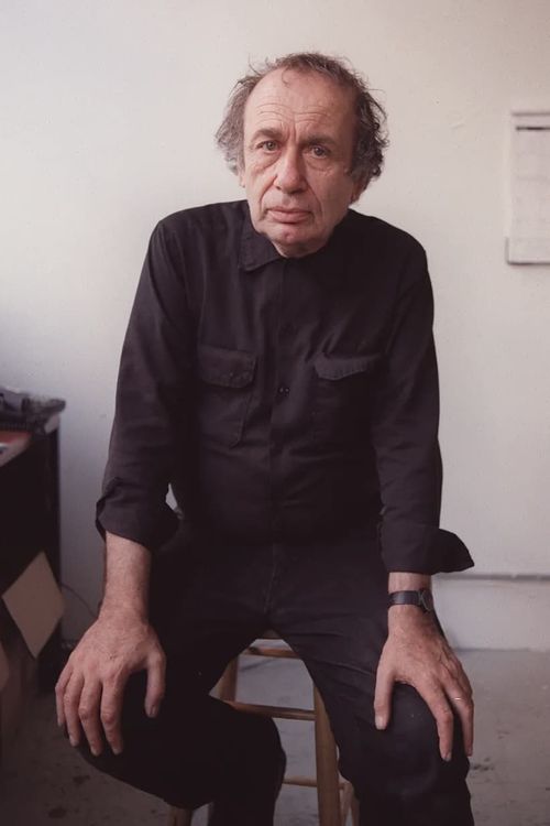 Key visual of Vito Acconci