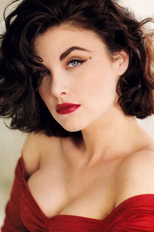 Key visual of Sherilyn Fenn