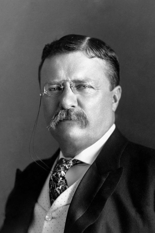 Key visual of Theodore Roosevelt