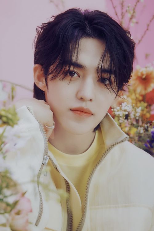 Key visual of S.Coups