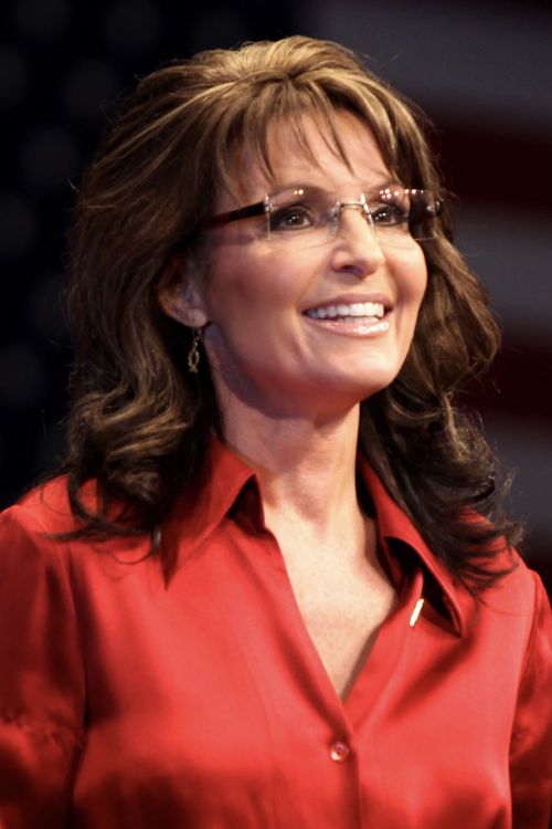 Key visual of Sarah Palin