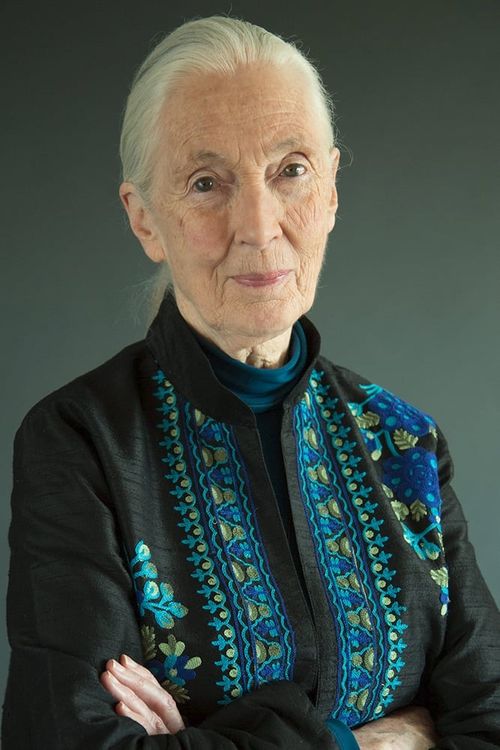 Key visual of Jane Goodall