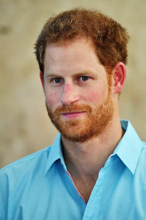 Key visual of Prince Harry, Duke of Sussex