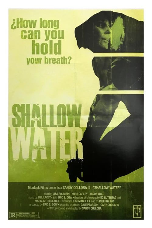 Key visual of Shallow Water