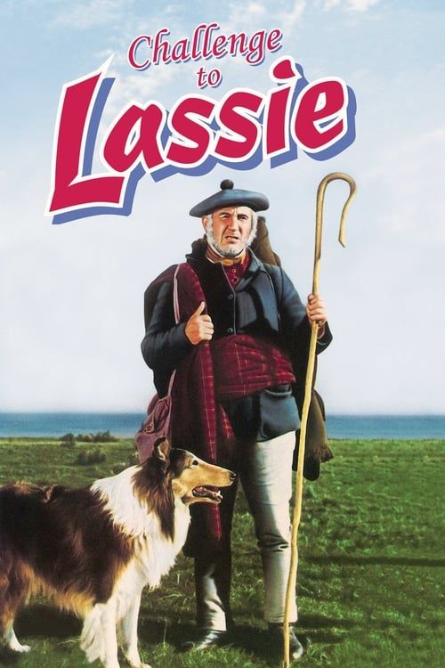 Key visual of Challenge to Lassie