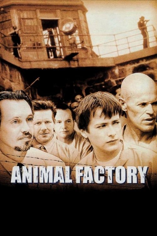 Key visual of Animal Factory