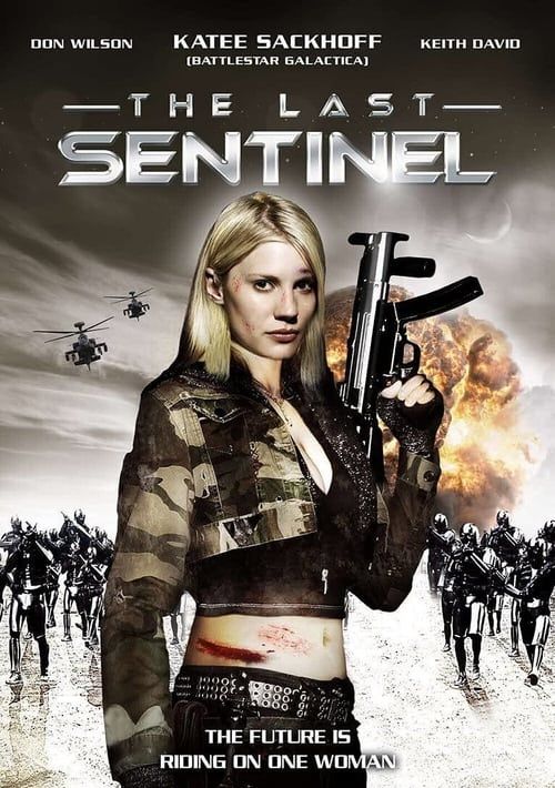 Key visual of The Last Sentinel