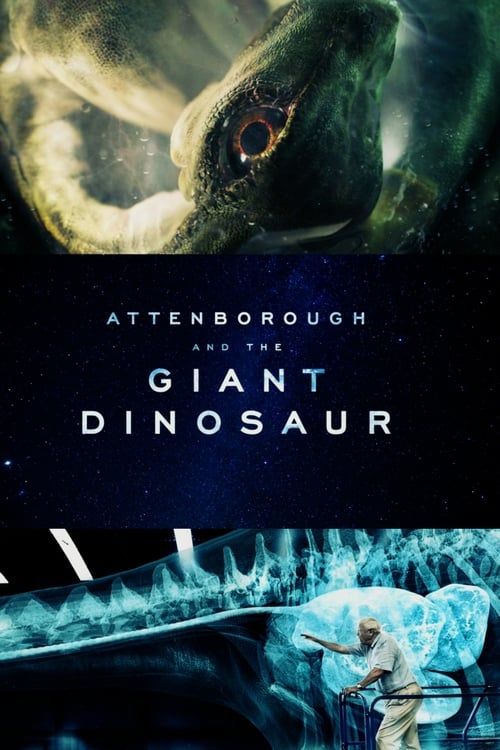 Key visual of Attenborough and the Giant Dinosaur