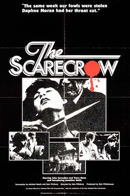 Key visual of The Scarecrow