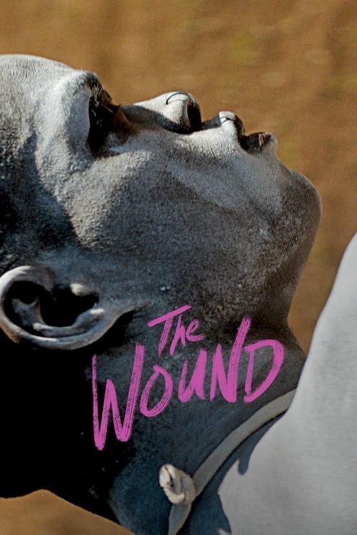 Key visual of The Wound