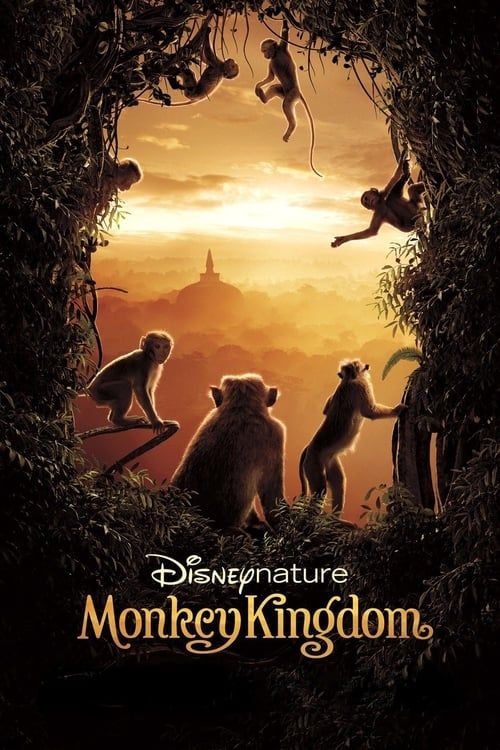 Key visual of Monkey Kingdom