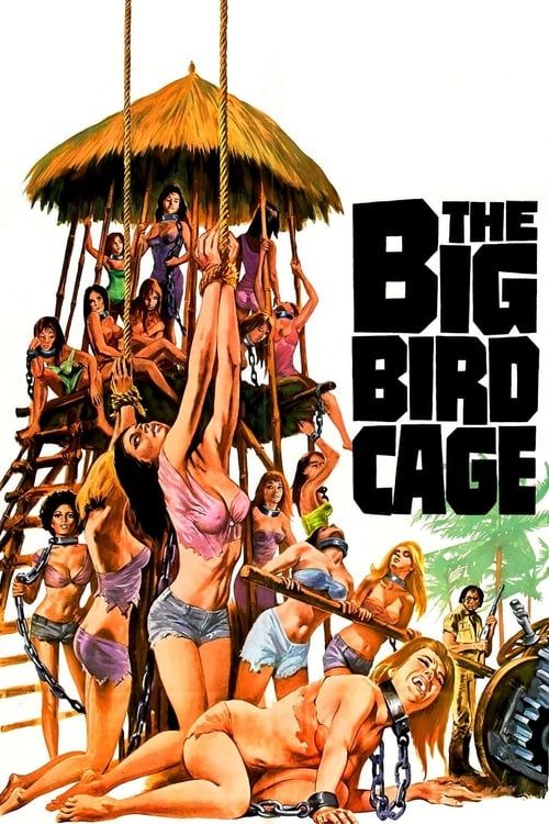 Key visual of The Big Bird Cage