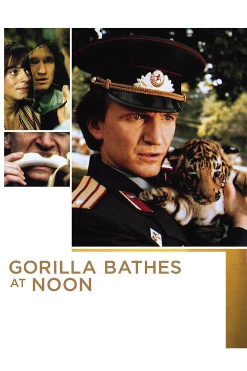 Key visual of Gorilla Bathes at Noon