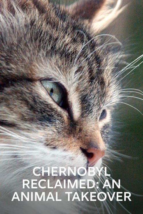 Key visual of Chernobyl Reclaimed: An Animal Takeover