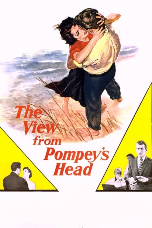 Key visual of The View from Pompey's Head