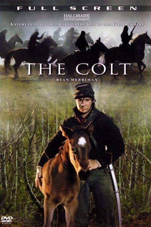 Key visual of The Colt