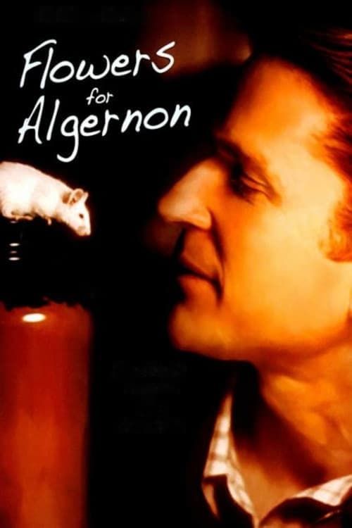 Key visual of Flowers for Algernon