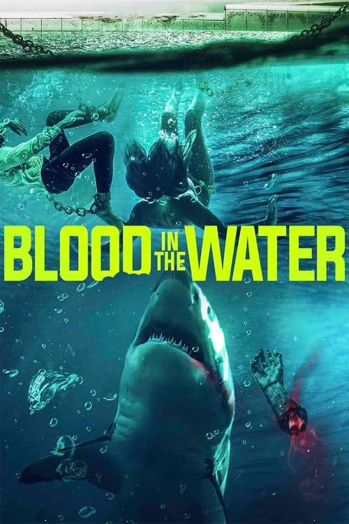 Key visual of Blood in the Water