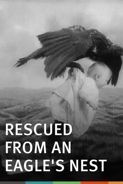 Key visual of Rescued from an Eagle's Nest