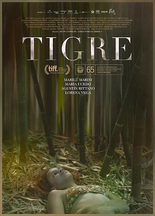 Key visual of Tigre