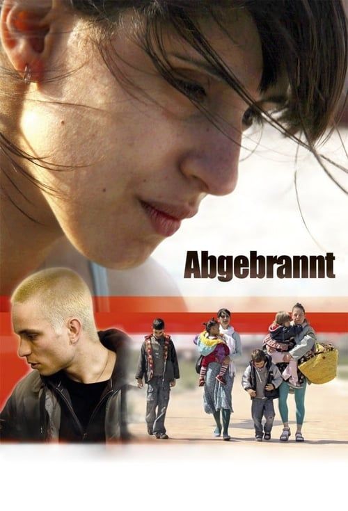 Key visual of Abgebrannt