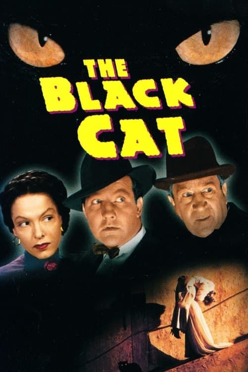 Key visual of The Black Cat