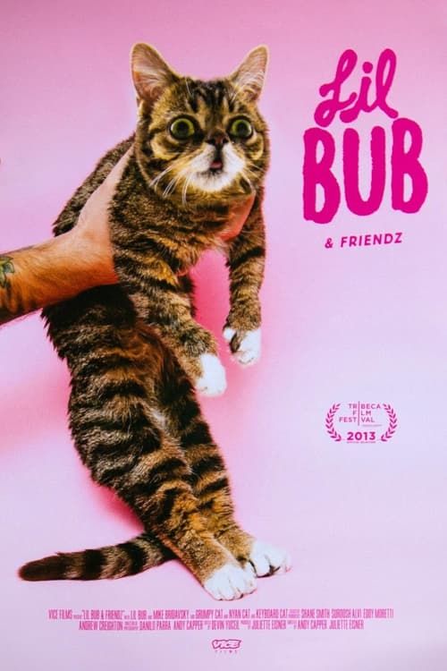 Key visual of Lil Bub & Friendz