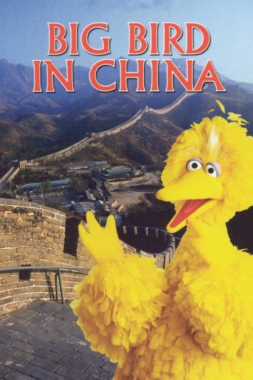 Key visual of Big Bird in China