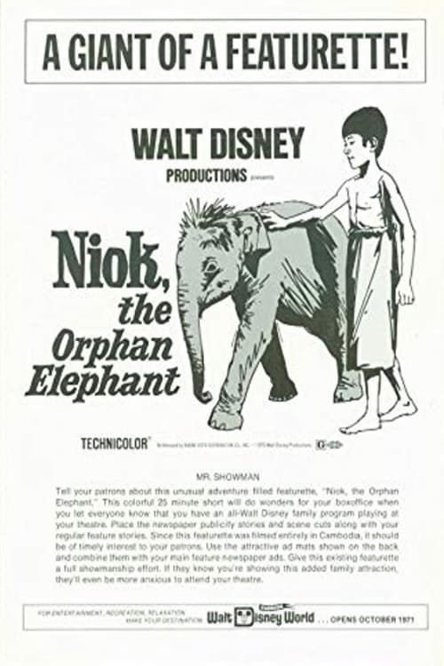 Key visual of Niok, The Orphan Elephant