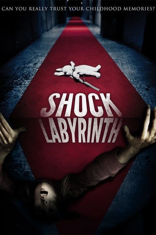 Key visual of The Shock Labyrinth