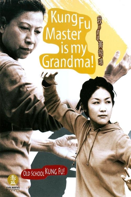 Key visual of Kung Fu Master Is My Grandma!