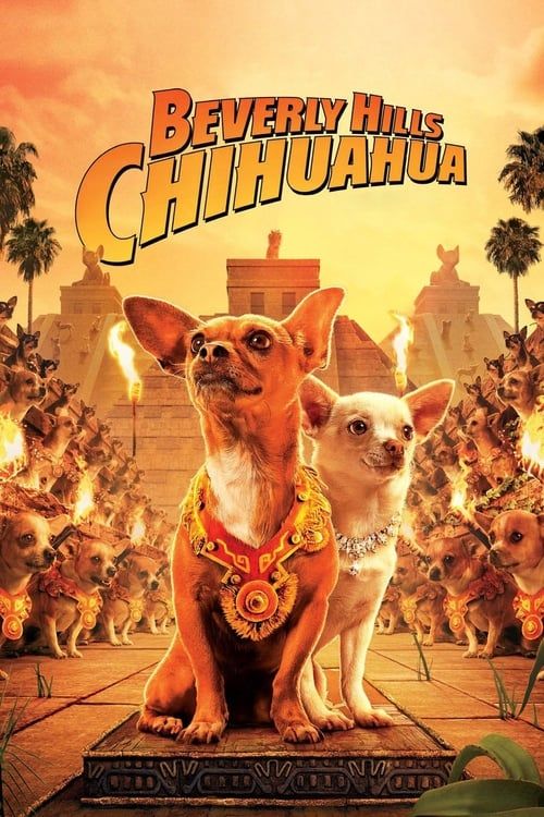 Key visual of Beverly Hills Chihuahua