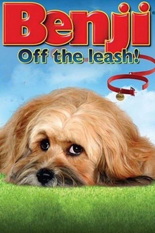 Key visual of Benji: Off the Leash!