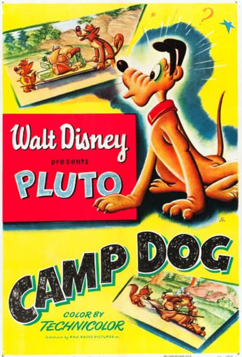 Key visual of Camp Dog