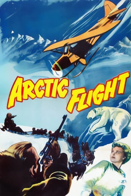 Key visual of Arctic Flight