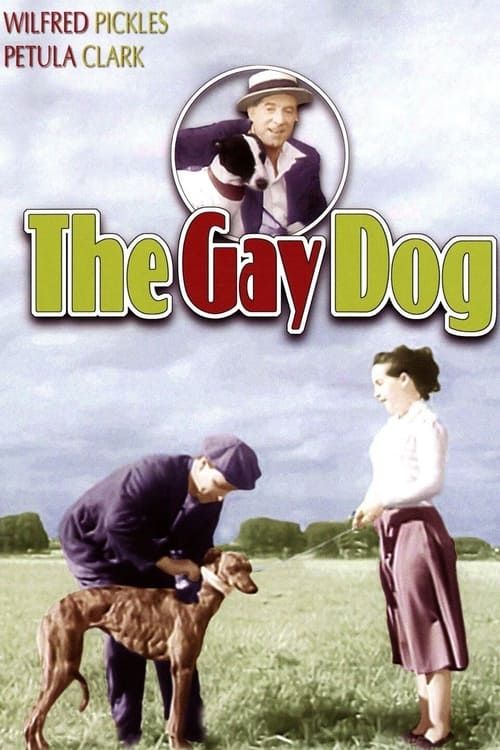 Key visual of The Gay Dog