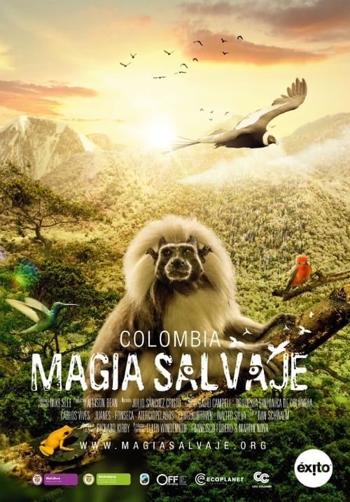 Key visual of Colombia: Wild Magic
