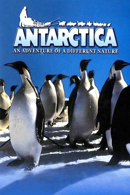 Key visual of Antarctica: An Adventure of a Different Nature