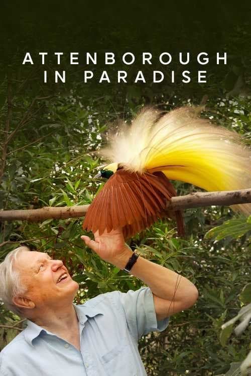 Key visual of Attenborough in Paradise