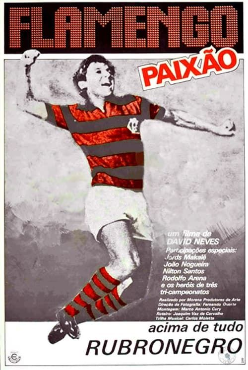 Key visual of Flamengo Paixão