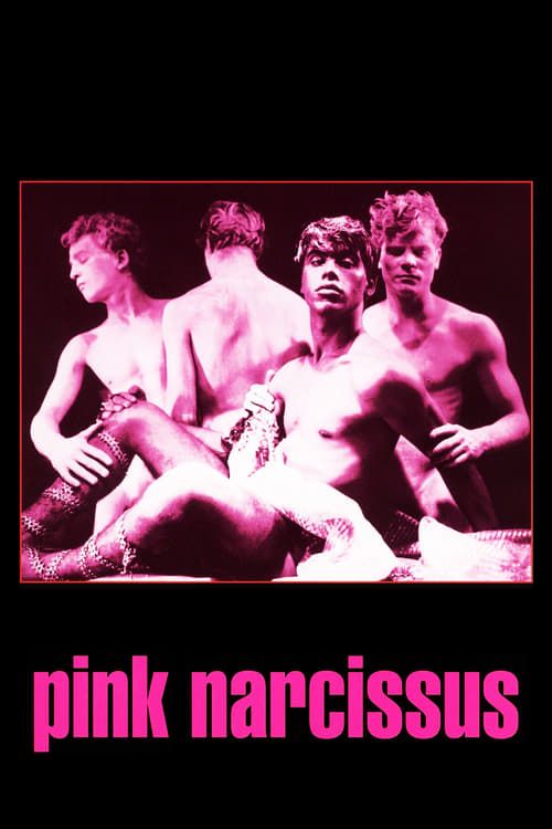 Key visual of Pink Narcissus