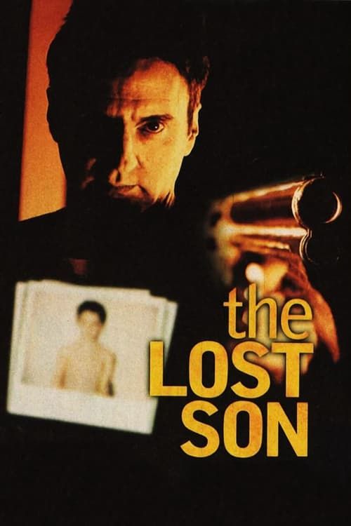 Key visual of The Lost Son