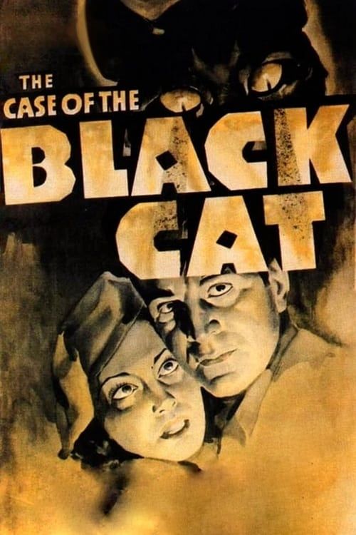 Key visual of The Case of the Black Cat