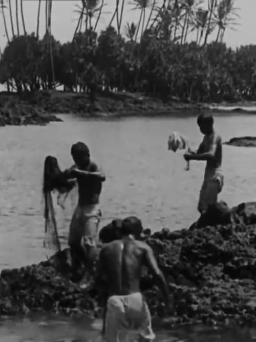 Key visual of Kanaka Fishermen Casting the Throw Net, Hilo, H.I.